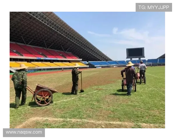 弗里克批大都会草坪影响比赛表现 弗里克批大都会草坪影响比赛表现